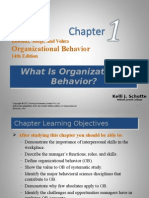 What Is Organizational Behavior?