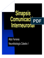 Ferreres Teorico 4 NF Sinapsis 2014 PDF