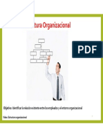 01 Presentacion Capitulo 1.2 Estructura Organizacional