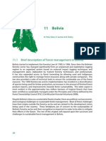 11 M.Pe&ntilde A Claros R.Guzman M.Dockry PDF