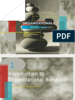 Organizational Behaviour and Management Ivancevich