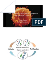Unit III Gene Structure and Expression Chapter 13 Meiosis