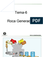 88741684 6 Roca Generadora