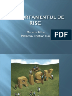 Comportamentul de Risc Ppt