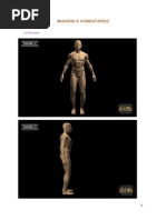 Imagem Comentario Imagem PDF