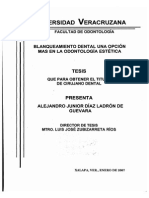 Enblanqueamiento 2 PDF