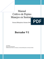 Borrador Manual Pepino v1