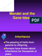 ap ch 14 mendel and the gene idea