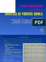 Ebola prezentare 
