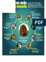 INFOGRAFÍA: Los Perros Más Caros Del Mundo