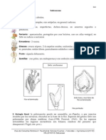 24 Salicaceae.pdf