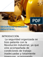 Seguridad e Higiene Industrial