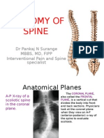 Anaofspine 101212113106 Phpapp01