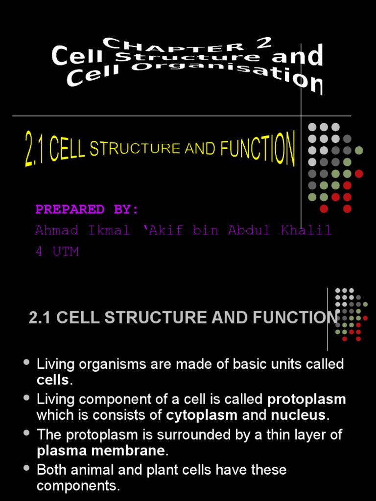Cell Structure and Function Guide | PDF | Endoplasmic Reticulum | Lysosome