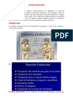 Sistema Endocrino Trabajo