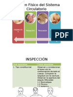 Examen Físico Del Sistema Circulatorio