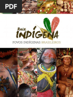 Cultura Indígena Brasileira