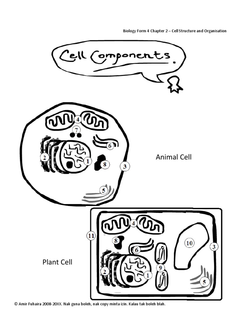 Biology Form 4 Chapter 2 Part 1 Cell Structure Chapter 7. Introduction