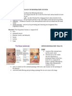 Respiratory Anatomy Guide