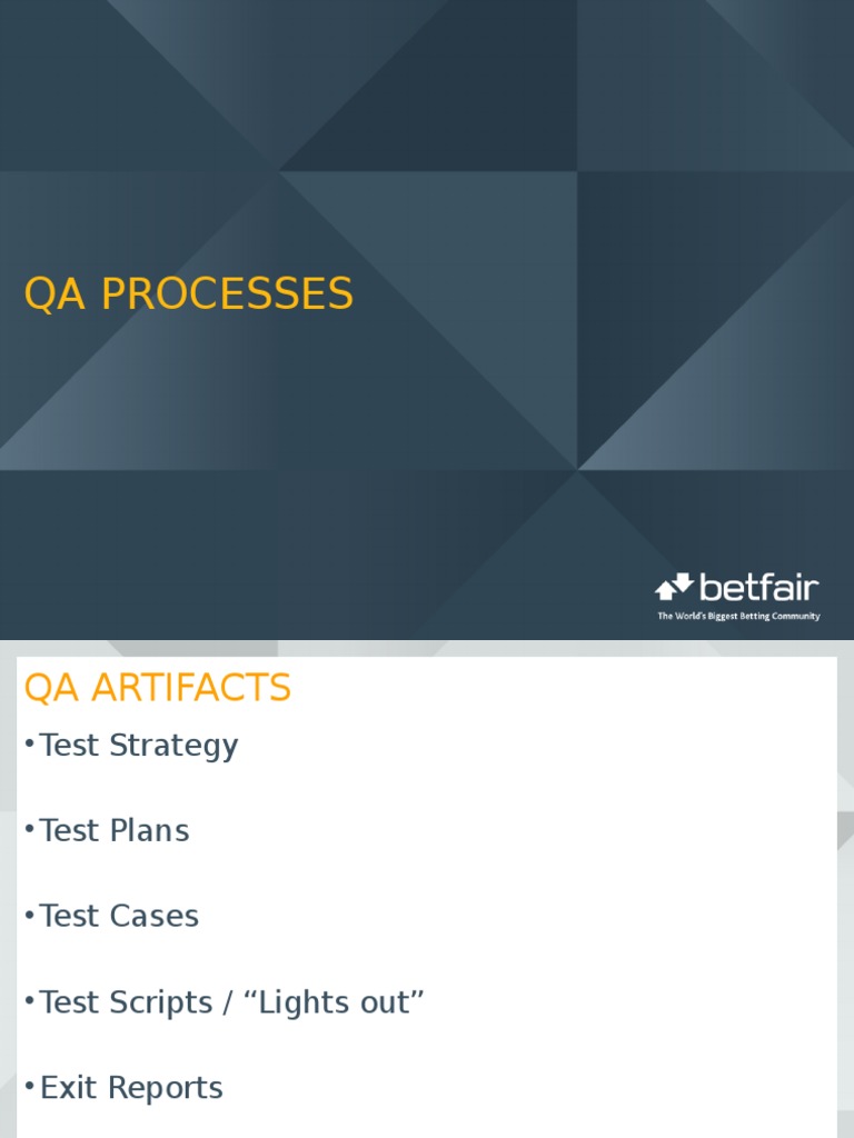 QA Processes and Artifacts Overview | PDF