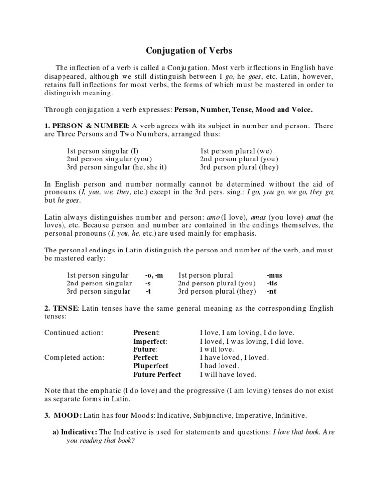 Conjugation | PDF | Grammatical Number | Verb