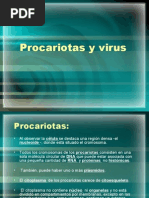 Procariotas y Virus