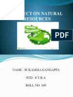Project On Natural Resources