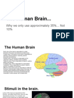 Human Brain