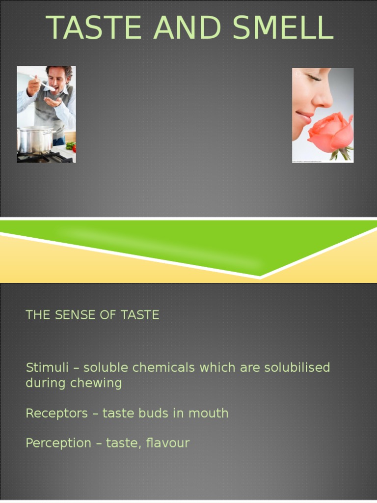 Taste and Smell Taste Olfaction