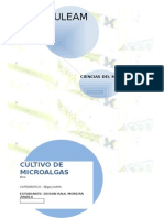 Cultivo Microalgas