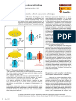 RECEP NICOTINICOS .pdf