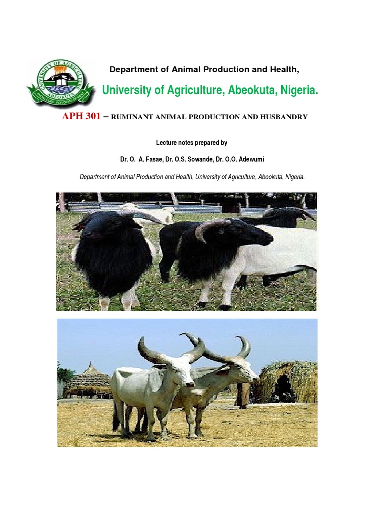 Ruminant Animal Production Overview | PDF | Sheep | Ruminant