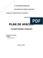 Plan de Afaceri - Cosmetizarea Cainilor