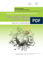 Guia Form Educ Amb II