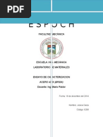 4340 caratcerizacion.docx