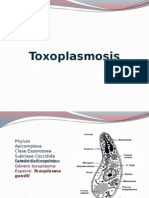 Toxoplasmosis y Malaria.pptx