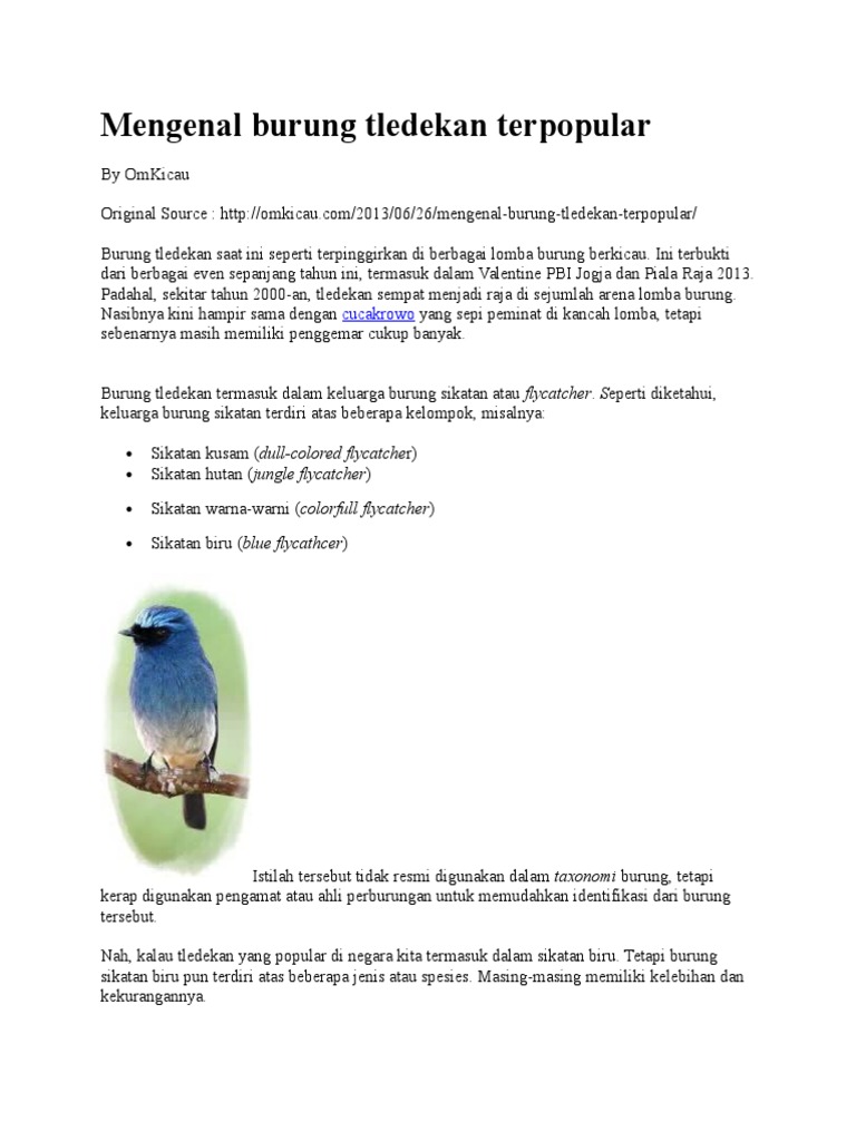 Burung Tledekan