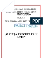 0 27 Proiect Tematic