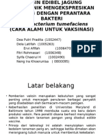 VAKSIN EDIBEL JAGUNG TRANSGENIK MENGEKSPRESIKAN GEN LT-B DENGAN.pptx