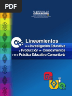 Lineamientos IEPC