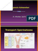 Fisiologi Kehamilan