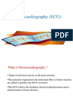 ECG: A Guide to Electrocardiography