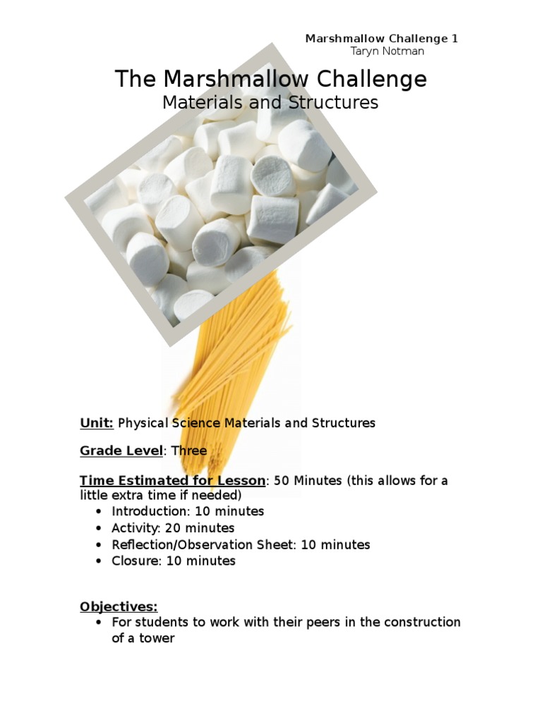 The Marshmallow Challenge Lesson Plan Neuropsychology
