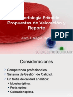 Citomorfología Eritroide Propuestas de Valoración y Reporte