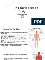 Amazing Facts Human Body