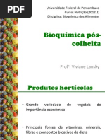 Pós-colheita.pdf