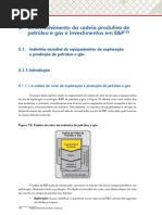 5. Desenvolvimento Da Cadeia Produtiva de Petróleo