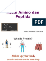 Asam Amino Dan Peptida