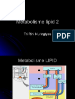 Metabolisme Lipid 2