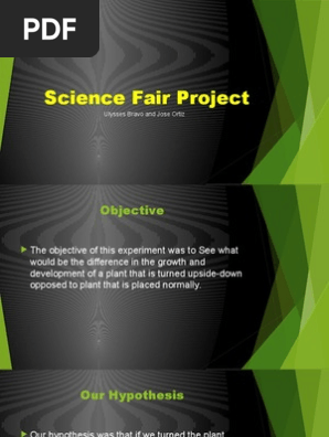 science fair project